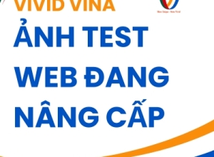 TEST WEB 1