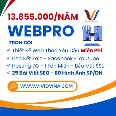 Dịch vụ thiết kế website gói WEBPRO trọn gói của Vivid Vina
